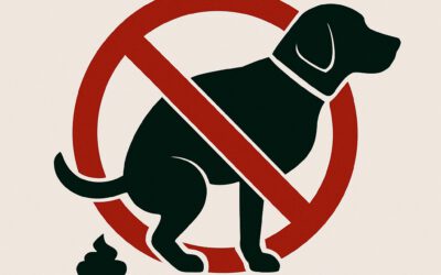 Hunde auf dem Golfplatz – nur mit Rücksicht und Verantwortung